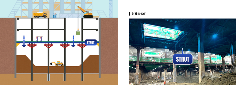 STRUT STRUT 현장SHOT